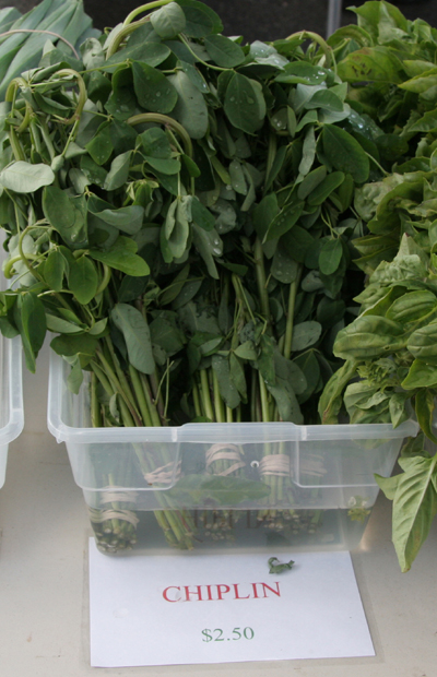 Aerial vier of Bean Farm