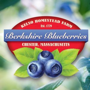 kelso blueberries 1.JPG