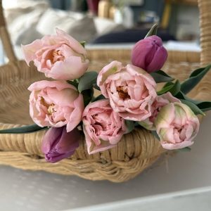 Bramble and blooms.jpg