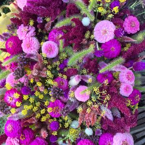 BA4E2E3D-9E78-45FF-AFBC-0B4E8400479A (2).JPG