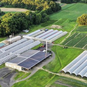 Screenshot 2026-04-24 152031.png