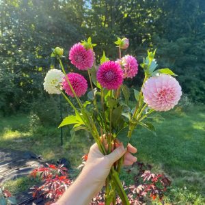 flora f.jpg