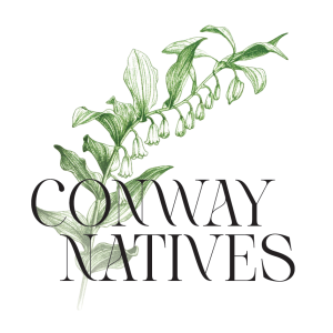 Conway Natives logo.png