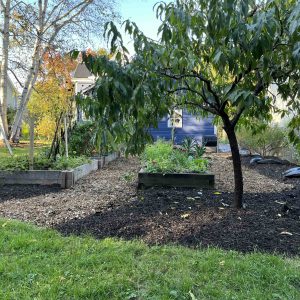 small arching peach with beds.jpeg