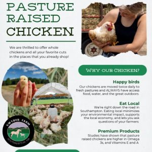 chicken flyer.jpg
