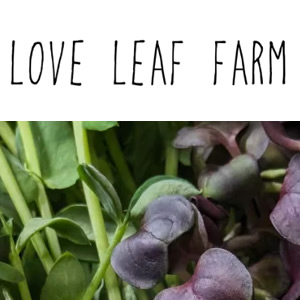 love-leaf-farm.jpg