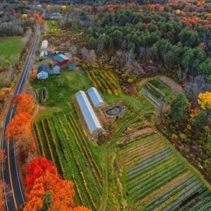still life farm aerial in autumn.JPG