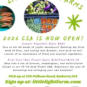 Little Light Farm (3).jpg