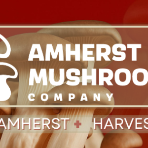 amherst mushrooms.png