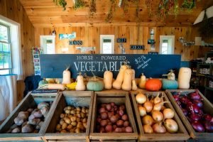 winter vegetables displayed in wooden crates in foreground, wood-paneled store wall in background