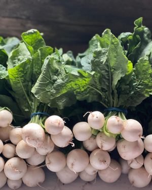 small white turnips with green leaves