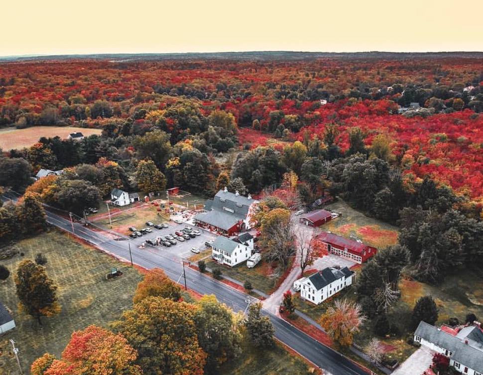 CISA Community Involved In Sustaining Agriculture NEPM Rice Fruit Farm