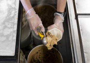 FlayvorsofCookFarm-hg-Jacobi-03042026-02