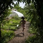 AbundanceFarm-hg-Jacobi-08052026-03