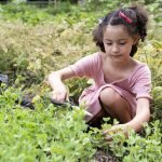 AbundanceFarm-hg-Jacobi-08052026-06