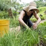 AbundanceFarm-hg-Jacobi-08052026-08
